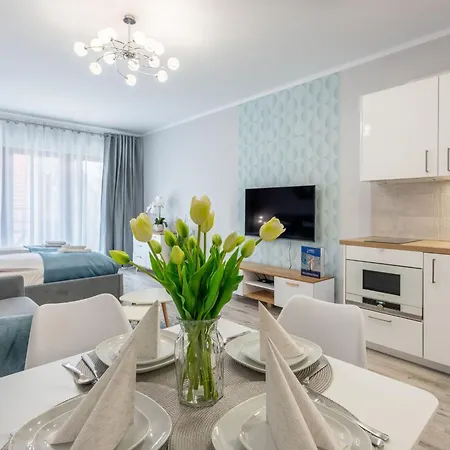 Kormoran 10 By Interhome *